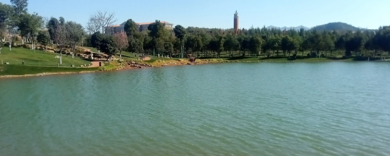 云南大学有湖吗 云大附近的湖